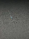 IMG_1666.webp