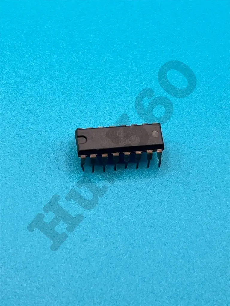 EZAV5341.webp