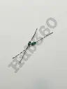 FGFX8563.webp