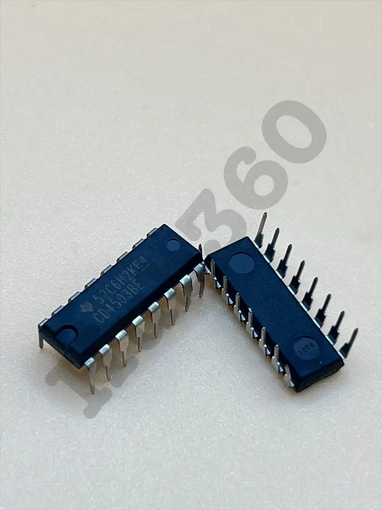 IBOW4118.webp