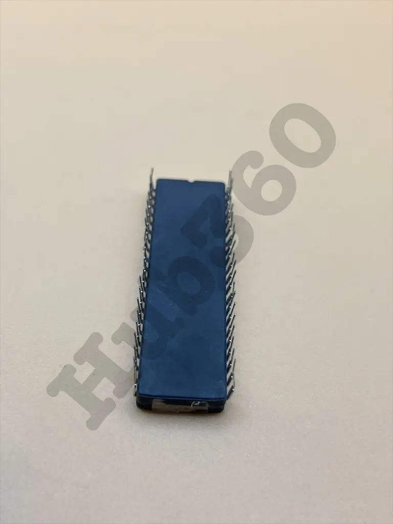 XYVV2058.webp