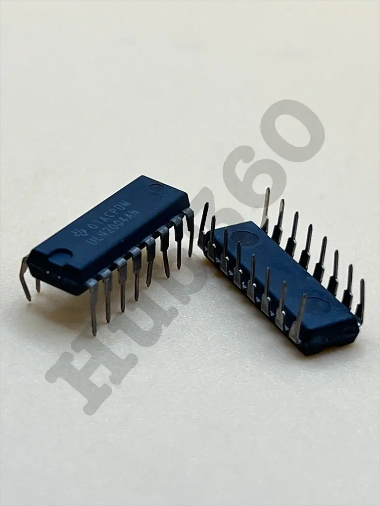 AVDW0790.webp