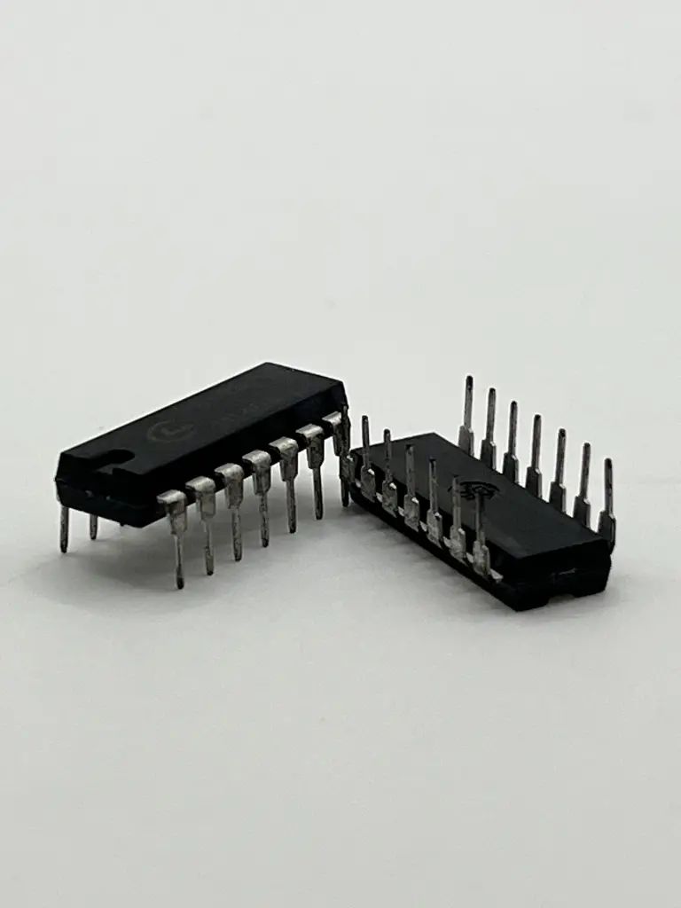 IMG_1008.webp